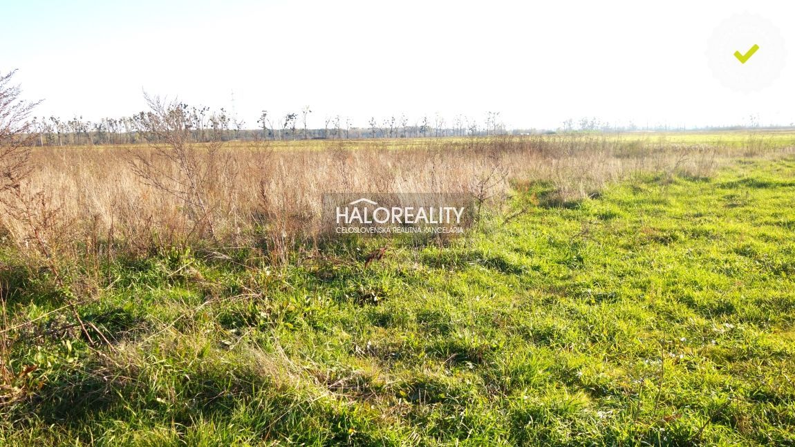 Realitná kancelária HALO reality a Mgr. Beáta Ninisová, kont