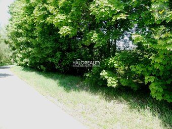 Realitná kancelária HALO reality a Ivana Salczerová, kontakt