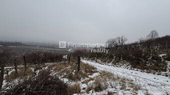 Typ: Vinice Ulica: Pezinok Obec: Pezinok
REZERVOVANÉ
F004-14