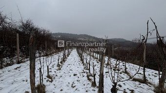 Typ: Vinice Ulica: Pezinok Obec: Pezinok
REZERVOVANÉ
F004-14