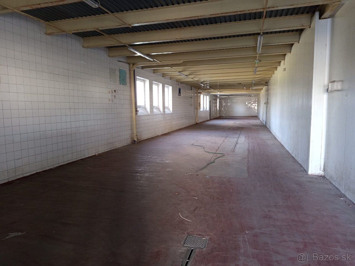 🚀 Na prenájom: Sklad / výrobný priestor 217 m² – Levice
Hľad