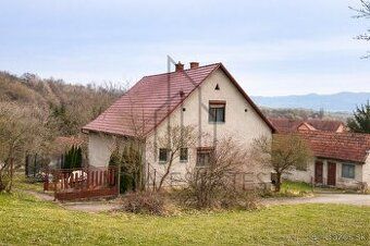predam starši rodinny dom vhodny aj na podnikanie v Nitrians