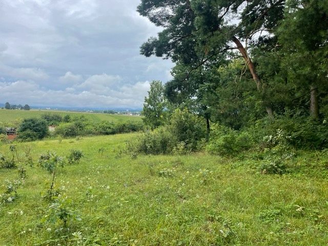RealPoint ponúka rekreačný pozemok o výmere 10 000 m2 v obci