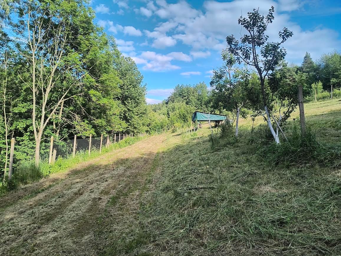 Prenajmem záhradu na pestovanie, záhradkárčenie prípadne cho