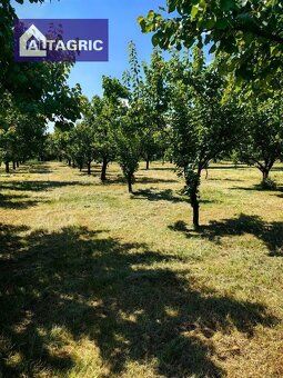 Sklady 250, 750 a 1000 m² v Komárne už od 2 €/m²/mesiac. Lac