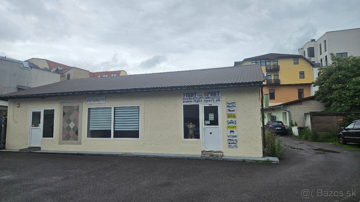 Dám do prenájmu skladový priestor v centre mesta na ul. M. R
