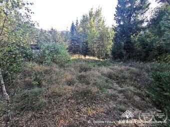 DELTA PROPERTY – VÁŠ MIESTNY ŠPECIALISTA exkluzívne ponúka n