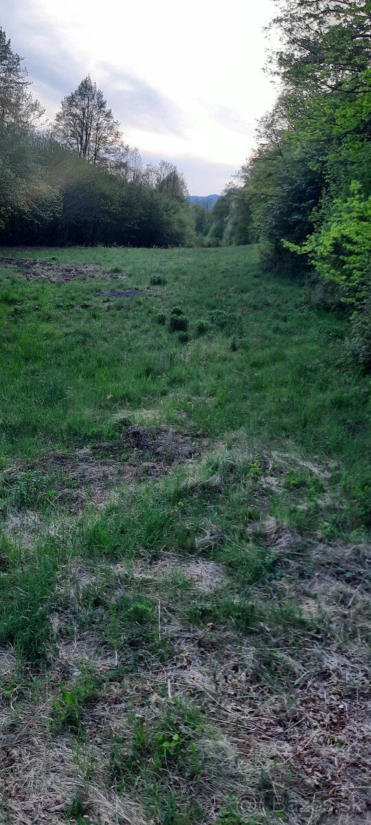 Predám pozemok vedľa cyklotrasi, v katastri Brezno. 800m² 69