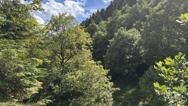 R12 reality ponúka na predaj
Rekreačnú chatu v srdci prírody