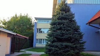 Ponúkame na prenájom priestory v Apollo NIVY, na Prievozskej