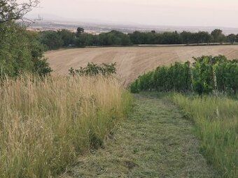 Predám pozemok vo výmere 642 m2 na ulici pod Amfiteátrom v k