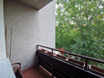 Babony TRE ponúka ŠTUDENTOM na prenájom slnečný, priestranný