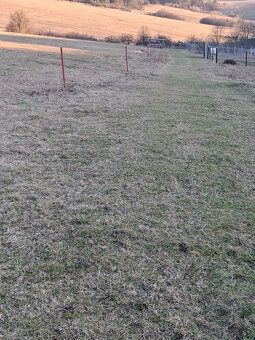Ponúkame na predaj ornú pôdu o výmere 3830 m2 ,šírka pozemku