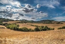 Dám do prenájmu pozemky pri priehrade Nitrianske Rudno. Rozm