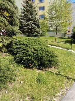 Predáme veľký 3izb byt s LOGGIOU vo vychytenej lokalite upro