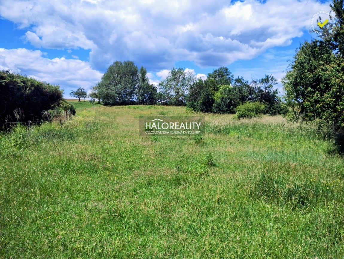 Realitná kancelária HALO reality a Darina Sedliaková, kontak