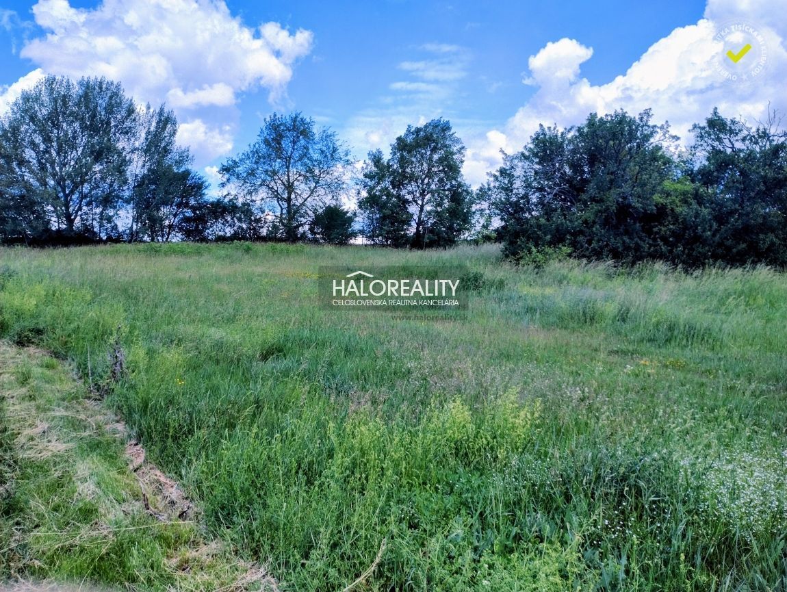 Realitná kancelária HALO reality a Darina Sedliaková, kontak