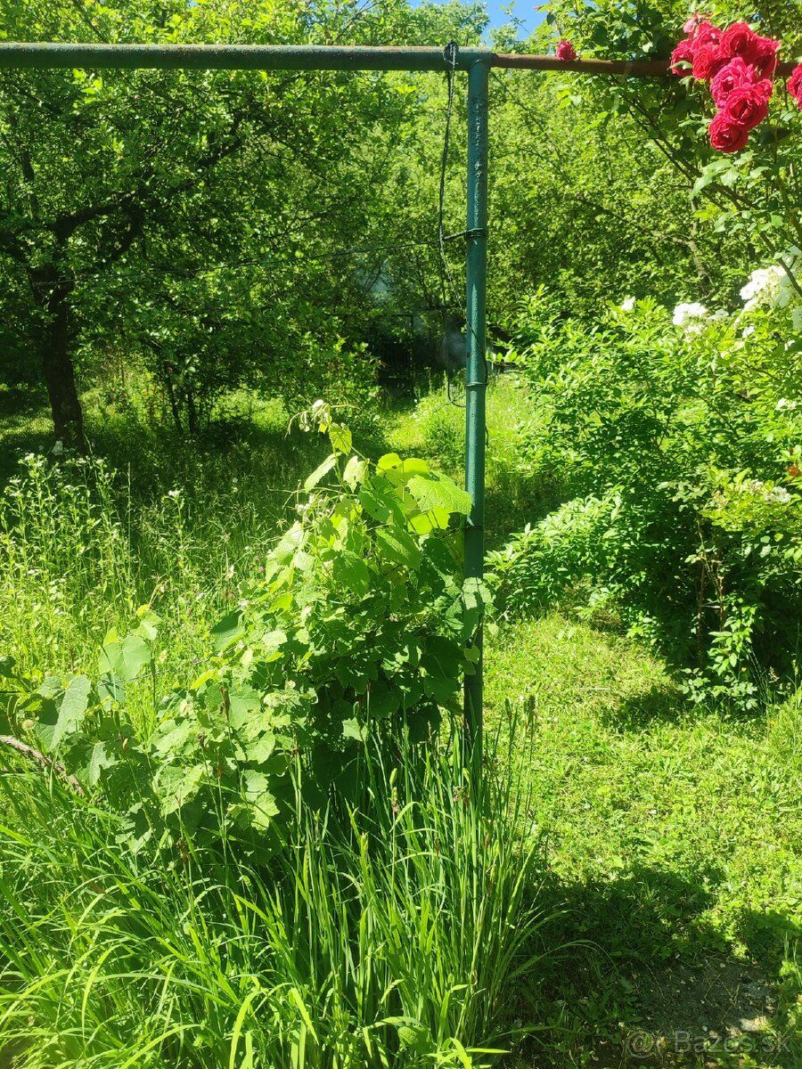 Predám záhradu pri Košiciach. Konkrétne košické Oľšany. Prik