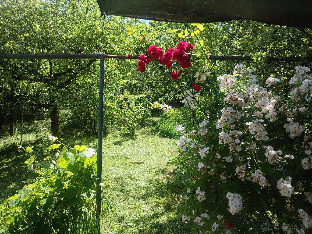 Predám záhradu pri Košiciach. Konkrétne košické Oľšany. Prik