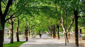 Ponúkame do nájmu garsónku (vlastnú) pri ZŠ O.NEPELU, 22m2, 