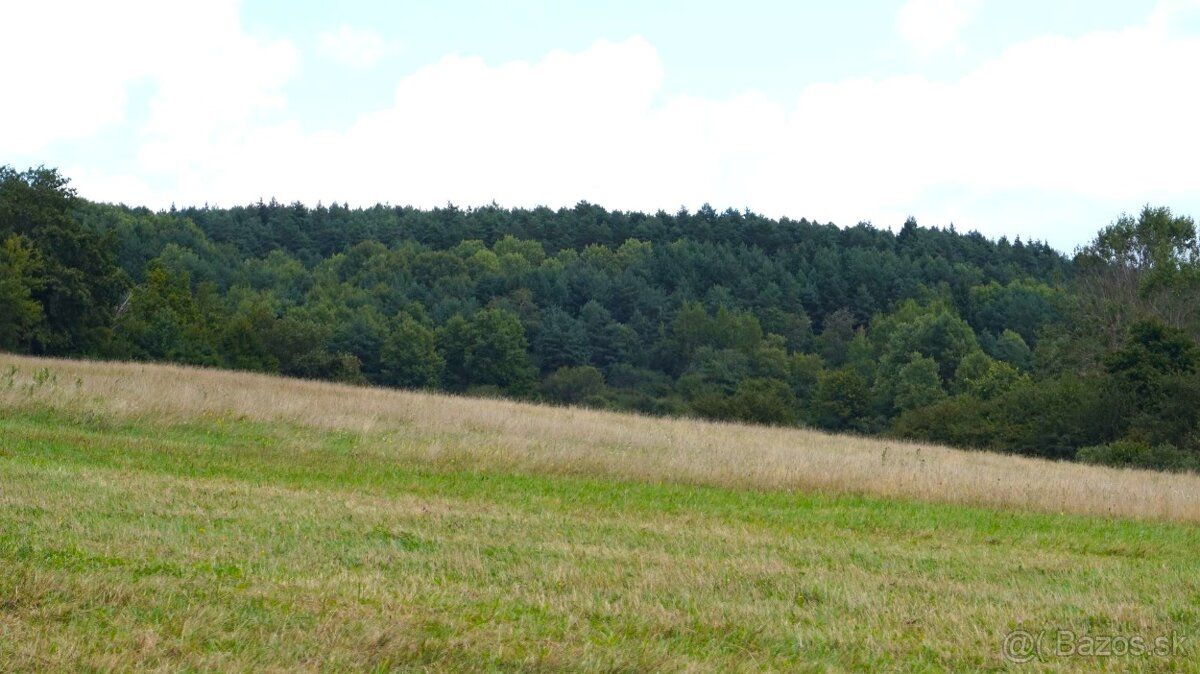 Predáme mierne svahovitý rekreačný pozemok v Papradne. Nachá