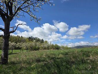Predám pozemok k.u. Horné Hamre 1,8ha trvalý trávny porast, 