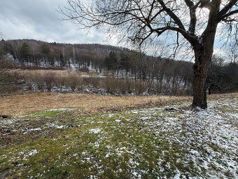 Predaj rodinný dom v meste Detva - Močidlianska skala, výmer