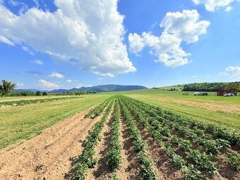 Realitná kancelária RE/MAX ponúka na predaj rodinný dom v ob