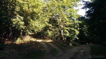 Na predaj je 55.312,80 m² pozemkov v cene 1,00 eur za m² ale