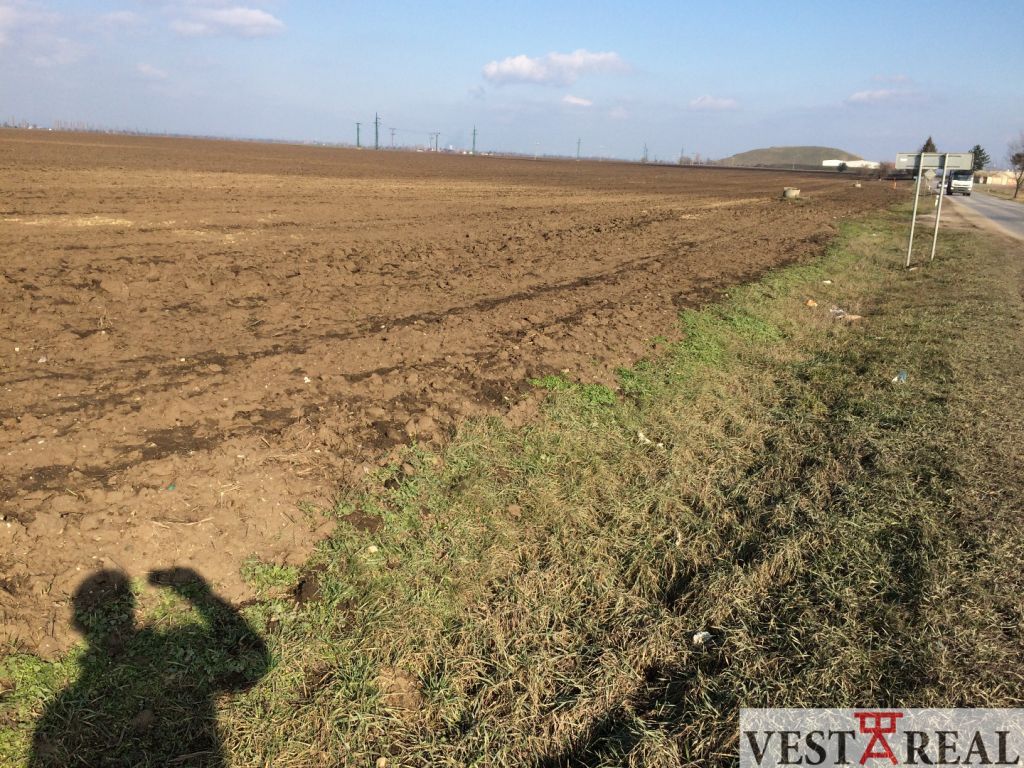 Na predaj pozemok 4900 m2 obchvat Trnava IS sú v dosahu. Poz