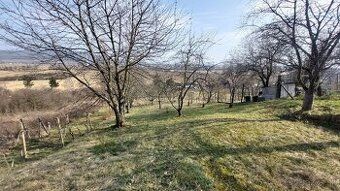 Ponúkame na predaj vinicu o výmere 926m2. Vinica sa nachádza