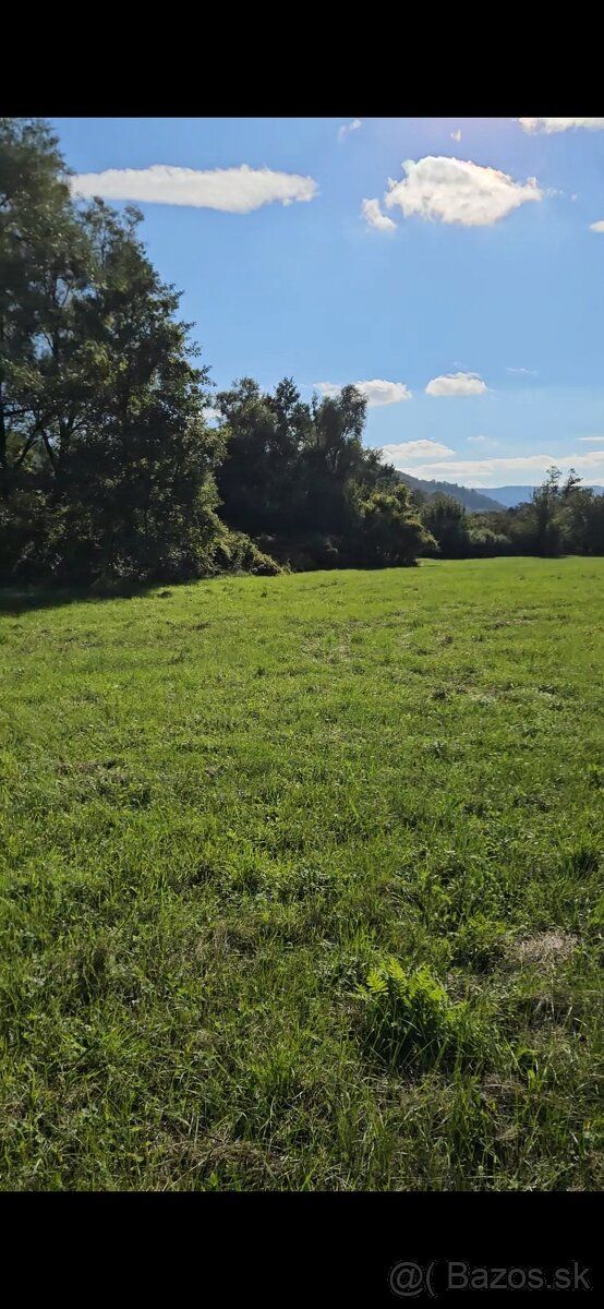 1,1 ha trávne plochy 2,9 ha ostatné plochy, náletové dreviny