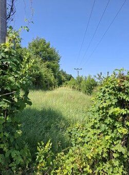 1,1 ha trávne plochy 2,9 ha ostatné plochy, náletové dreviny