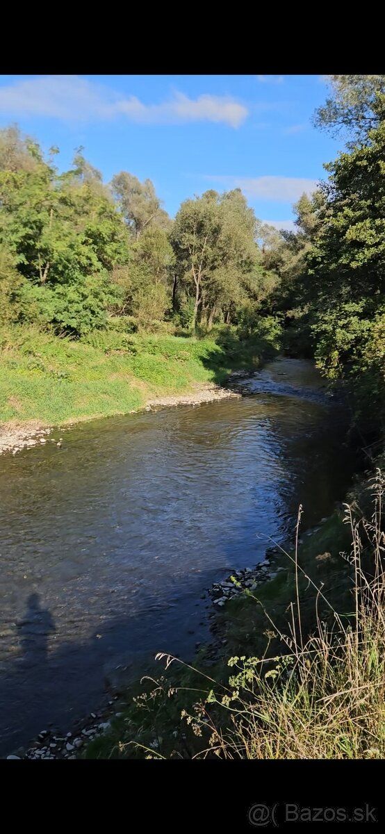 1,1 ha trávne plochy 2,9 ha ostatné plochy, náletové dreviny