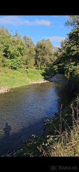 1,1 ha trávne plochy 2,9 ha ostatné plochy, náletové dreviny