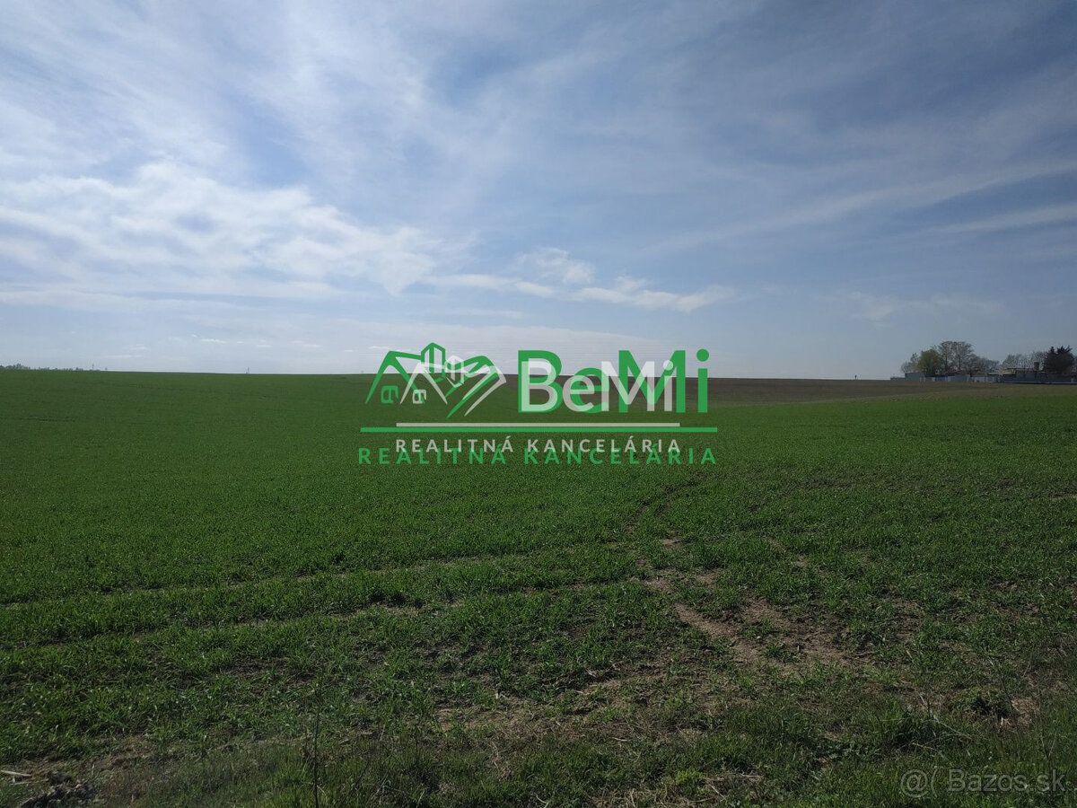 Typ: Poľnohospodárske a lesné pozemky Ulica: Voderady Obec: 