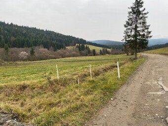 Typ: Rekreačné pozemky Ulica: Pri vleku Obec: Krušetnica
185