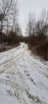 Typ: Rekreačné pozemky Obec: Dolné Orešany
Hľadáte miesto, k
