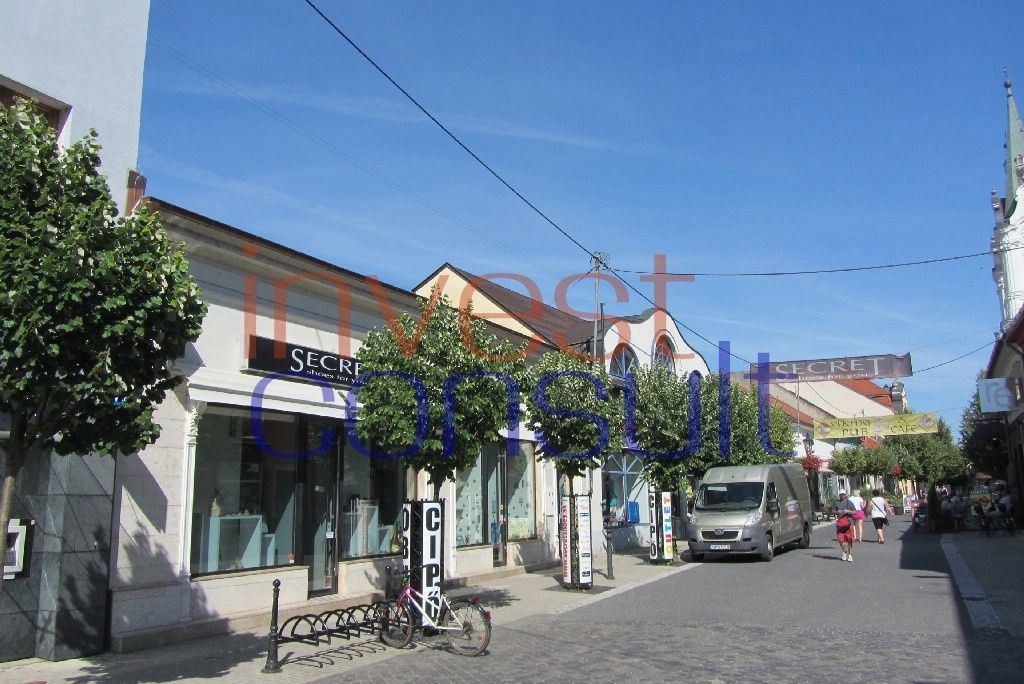 Na prenájom v centre Komárna exkluzívny obchodný priestor (2