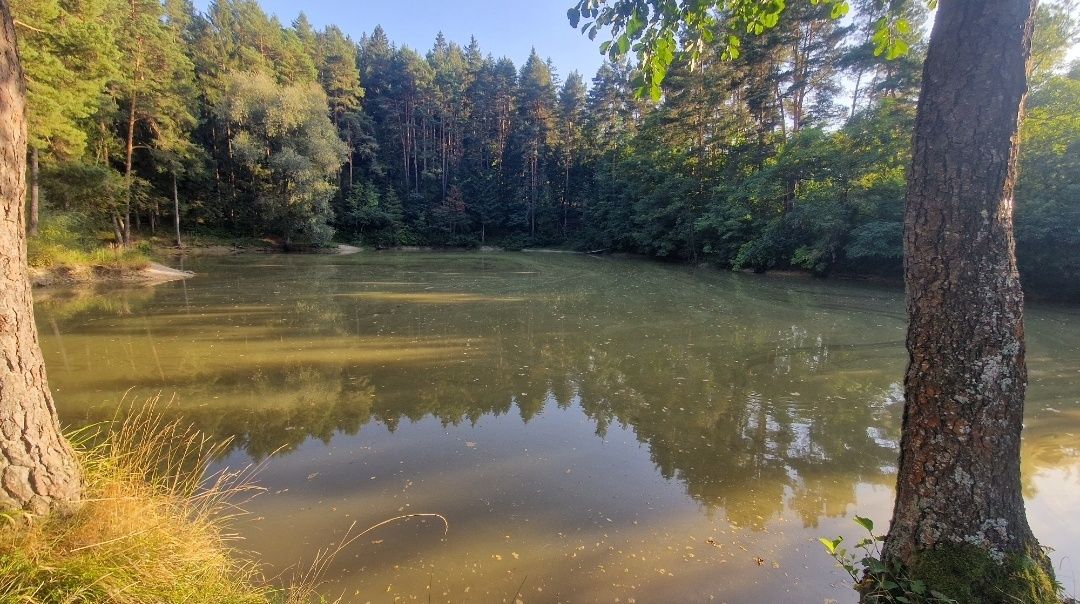 Predám zarybnené jazero - vodná plocha 4507m2 a priľahlý poz
