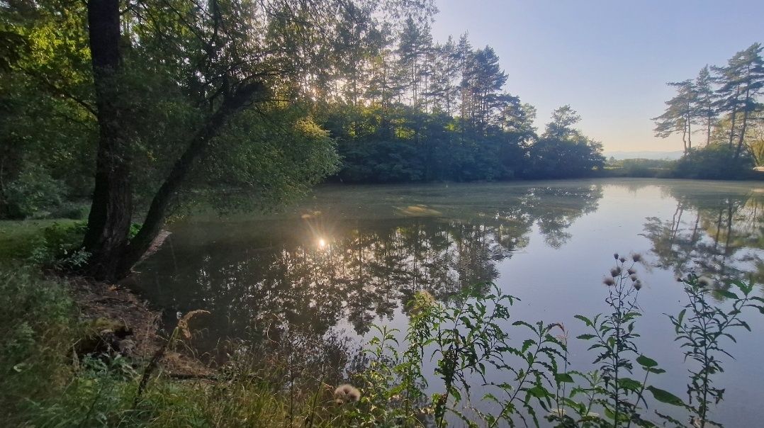 Predám zarybnené jazero - vodná plocha 4507m2 a priľahlý poz