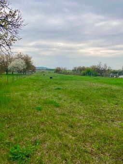 📍 Štúrovo – predaj stavebný pozemok 891/1941/24
💶 Cena: 35 €