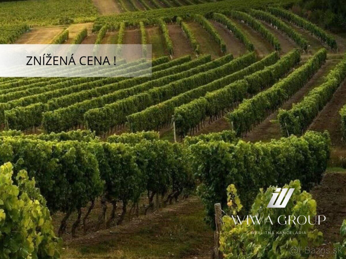 ❗️ Znížená cena! 🌿 Vyškovce nad Ipľom – vinica (273/3/23)
💶 
