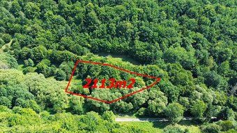 IMG real ponúka na predaj pozemok na samote v obci Hrabičov 