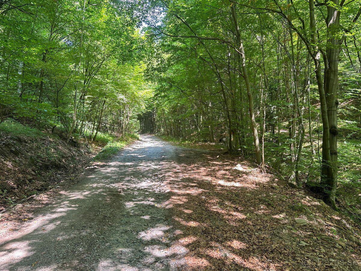 IMG real ponúka na predaj pozemok na samote v obci Hrabičov 