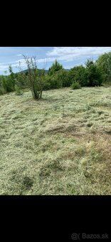 Ponúkam na odstúpenie 3 záhrady záhrady sú pri sebe je potre