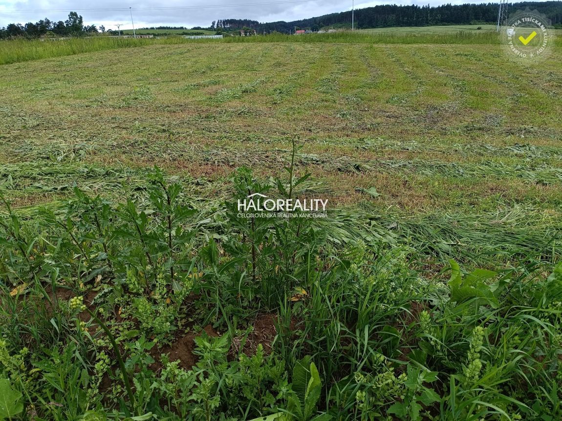 Realitná kancelária HALO reality a Štefan Jurčišin, kontakt: