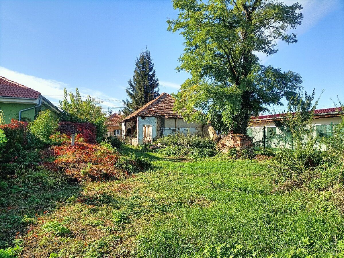 Predám 1970 m2 pozemok zo sieťami s asfaltovým prístupom, mo