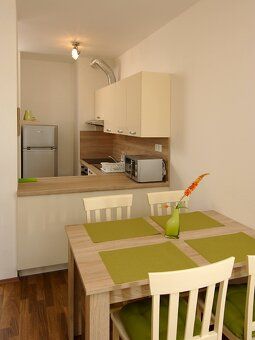 Prenajmeme slnečný, komfortne zariadený 1-izbový apartmán v 