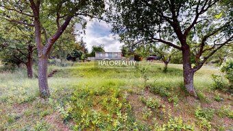 Realitná kancelária HALO reality a Jana Konečná, kontakt: 09